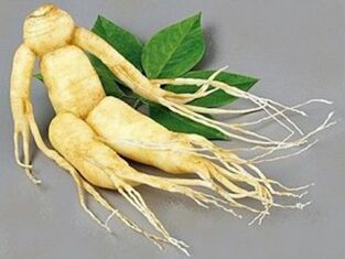 Raíz de ginseng para potenciar