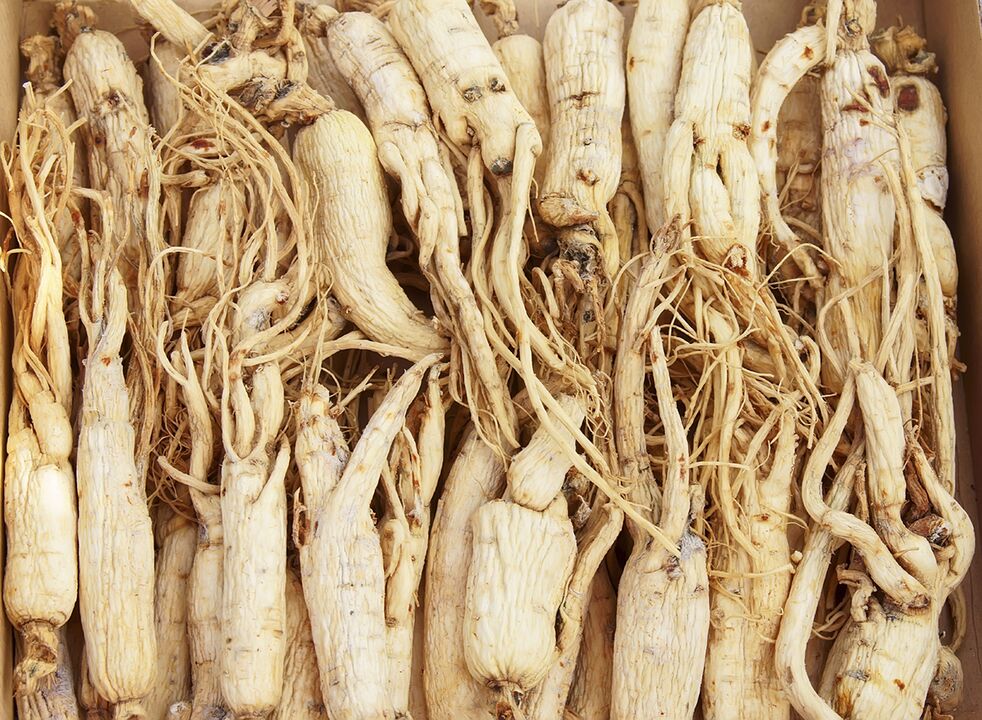 Podes preparar unha cervexa que mellore a potencia baseada na raíz de ginseng