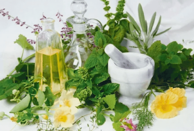Herba por potencia nos homes